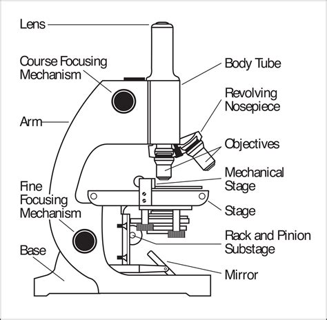 Afbeeldingsresultaten voor Light Microscope Parts and Functions