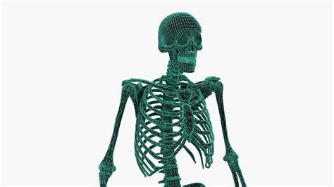 Python Skeleton 3D に対する画像結果
