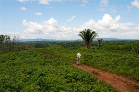 Image result for What Is Arable Soil