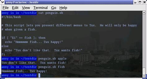 Toradh íomhá ar Shell Script If Then