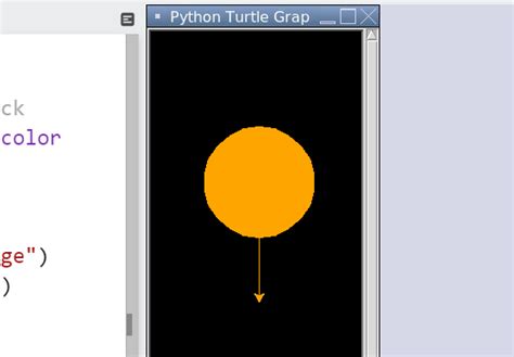 Image result for Turtle Controller Python