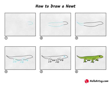 Toradh íomhá ar How to Draw a Newt