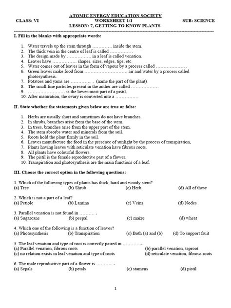 Class 6 Science Chapter 1 Worksheet に対する画像結果
