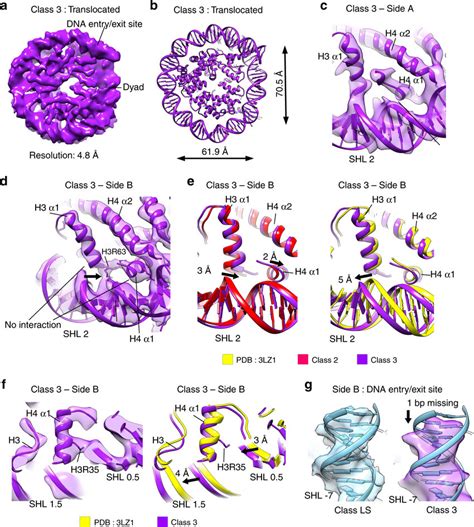 Histone Octamer に対する画像結果
