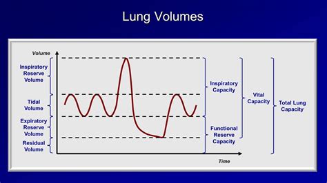 Afbeeldingsresultaten voor Lung Function Test Normative Data Brian Mac