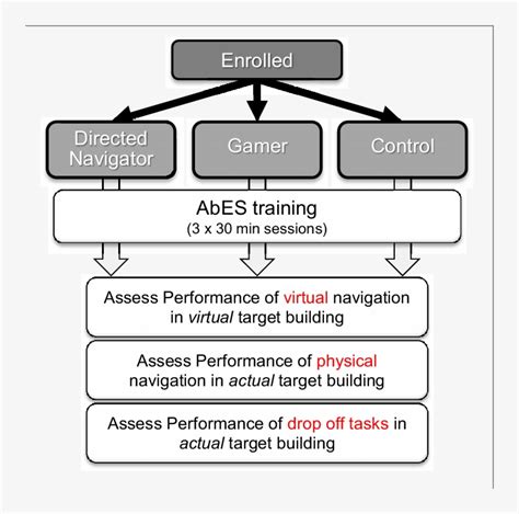 Image result for Example of Stratified Randomization