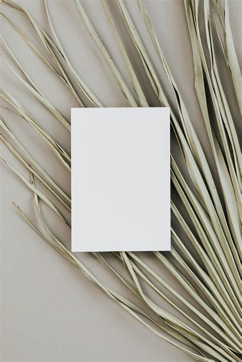 Image result for Card Menu Backing