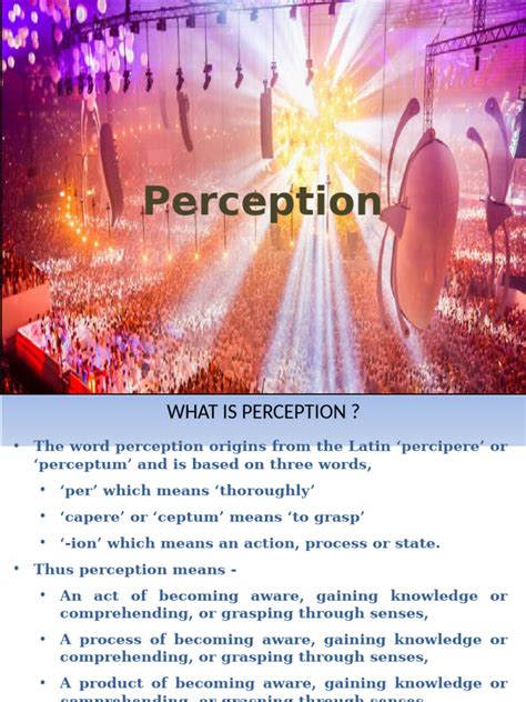 Image result for Perception Basics