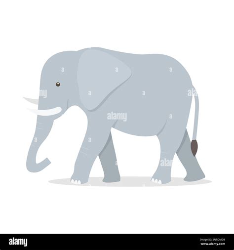 Image result for Cartoon Elephant Basic