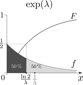 Parameter of Exponential Distribution に対する画像結果