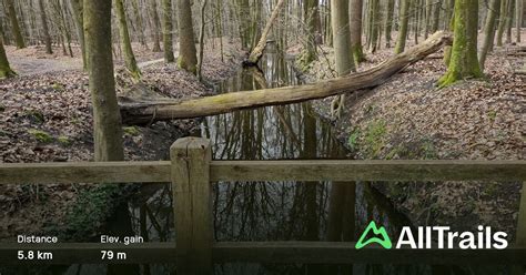 Image result for Leuvenumse Bos