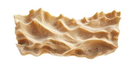 Image result for Porous Bone Structure