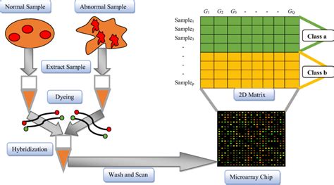 Image result for Microarray in Scientific Research