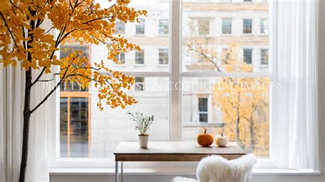 Afbeeldingsresultaten voor Autumn Window View Backgrounds