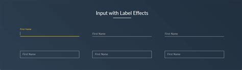 Toradh íomhá ar How to Add Input Focus CSS