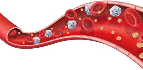 Blood Slide Maker に対する画像結果