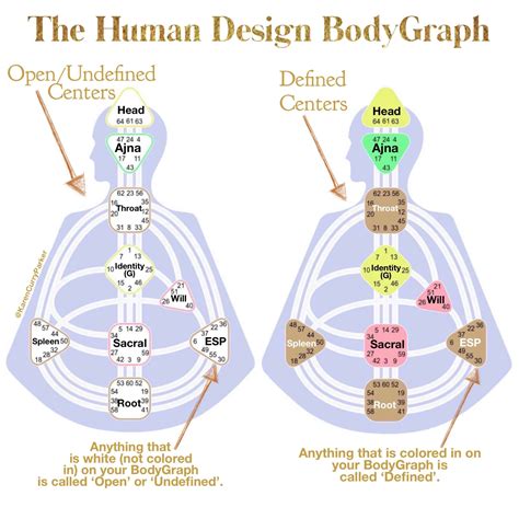 Afbeeldingsresultaten voor Human Design Chart Generator