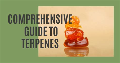 Bildergebnis für How to Add Terpenes to Water