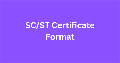 SC Certificate Status Check に対する画像結果