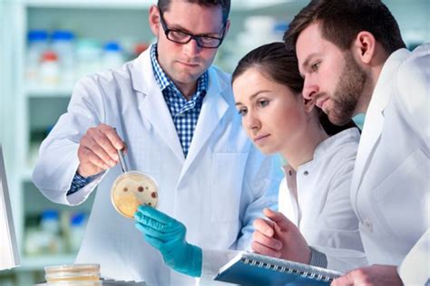 Grade Point Average York に対する画像結果