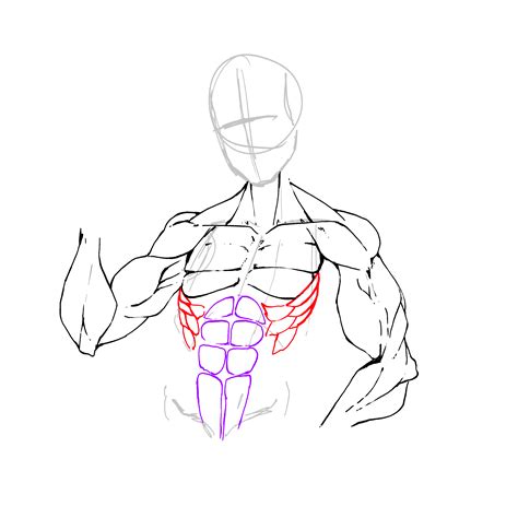 Drawing Muscles KS1 に対する画像結果