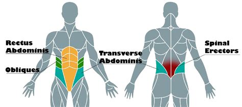 Image result for Core Muscle Workout