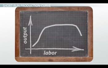 Image result for Short Run Labor Graph