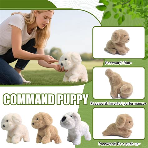 Image result for Robot for Pets