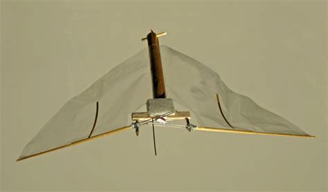 Image result for Flapping Wing Design