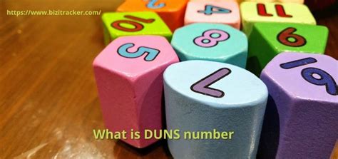 Image result for Duns Number Used For
