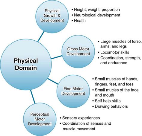 Image result for Physical Domain Examples