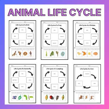 Afbeeldingsresultaten voor Copy and Paste Life Cycle Chart