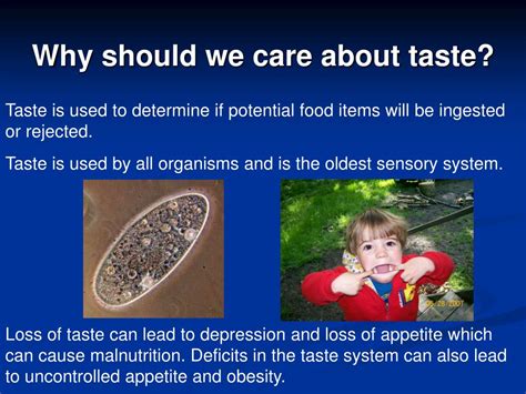 Image result for Signalling Pathway plc Type 2 Taste Cells