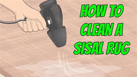 Toradh íomhá ar How to Clean Sisal Area Rug