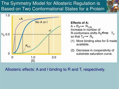 Image result for Simple Sequential Model of Allosteric Enzyme