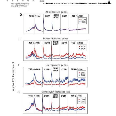 Image result for RNA Pol II ChIP-seq