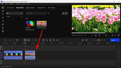 Toradh íomhá ar Merge Two MP4 Files