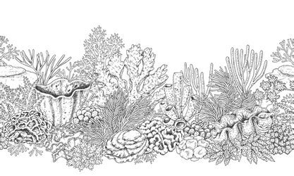 Toradh íomhá ar Coral Reef Outline