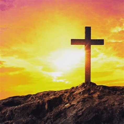 Image result for Cross Trainer SXT Pumps Two 5662