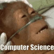Image result for GIF Related to Computer Science