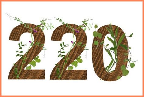 Image result for 12 220