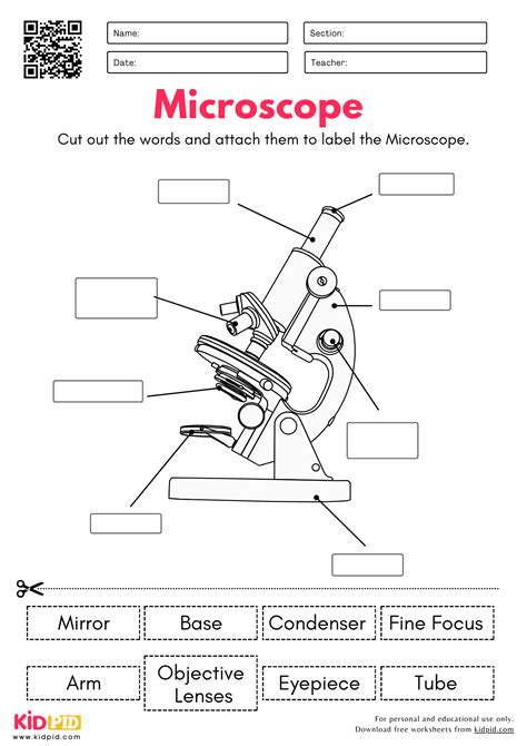 Image result for KS3 Science Revision Worksheets