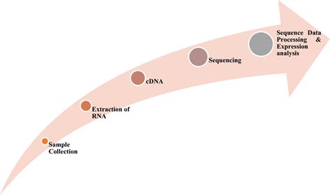 Image result for Transcriptomics Diagram