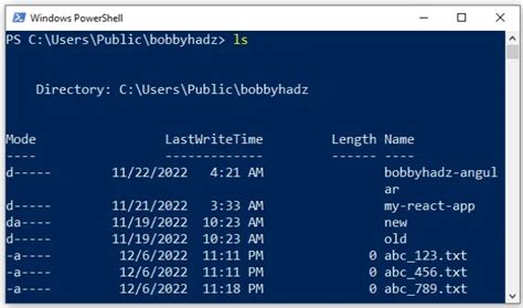 Afbeeldingsresultaten voor PowerShell LS