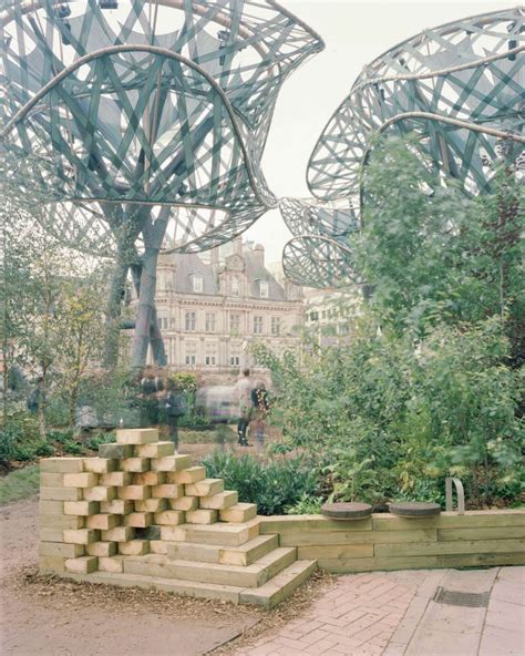 Tree Structure System Detail に対する画像結果