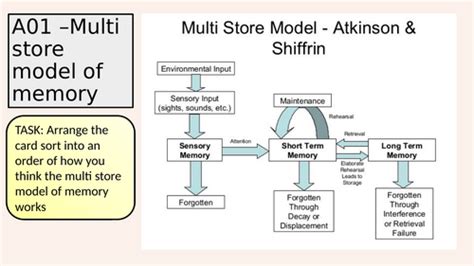 Multi-Store Memory Modle に対する画像結果