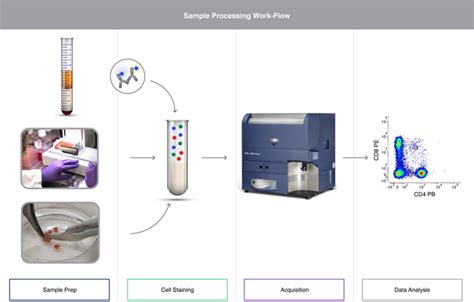 Image result for Flow Cytometry Sample Preparation