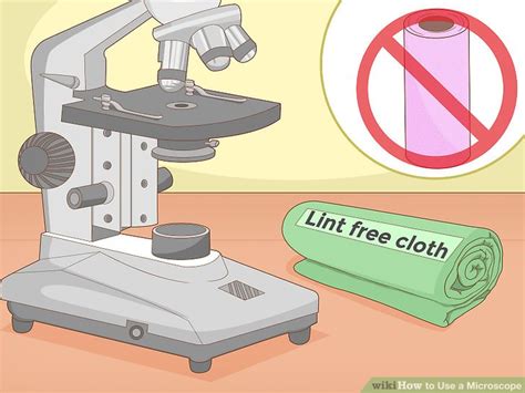 Image result for How Do You Use a Microscope