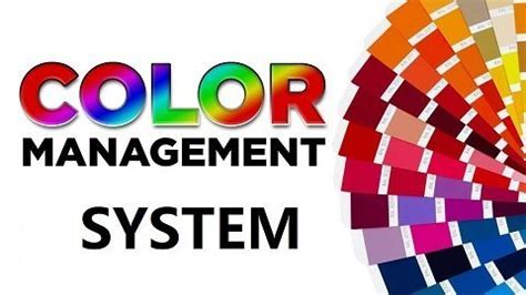 Image result for Background Management System Design Lighter Color