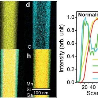 Afbeeldingsresultaten voor Egg Shell Chemical Composition